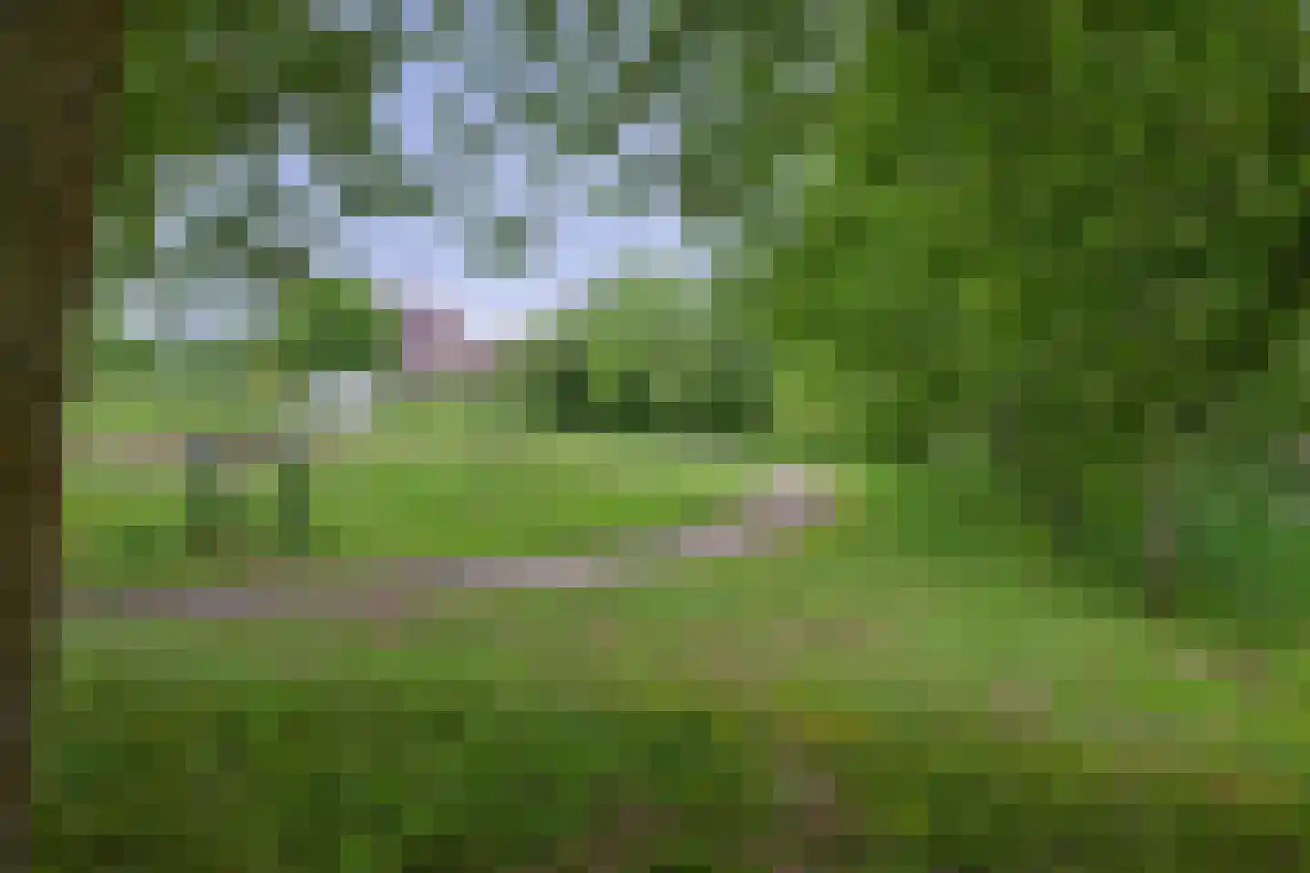 Fossa Italica 143 Houten thumbnail 25