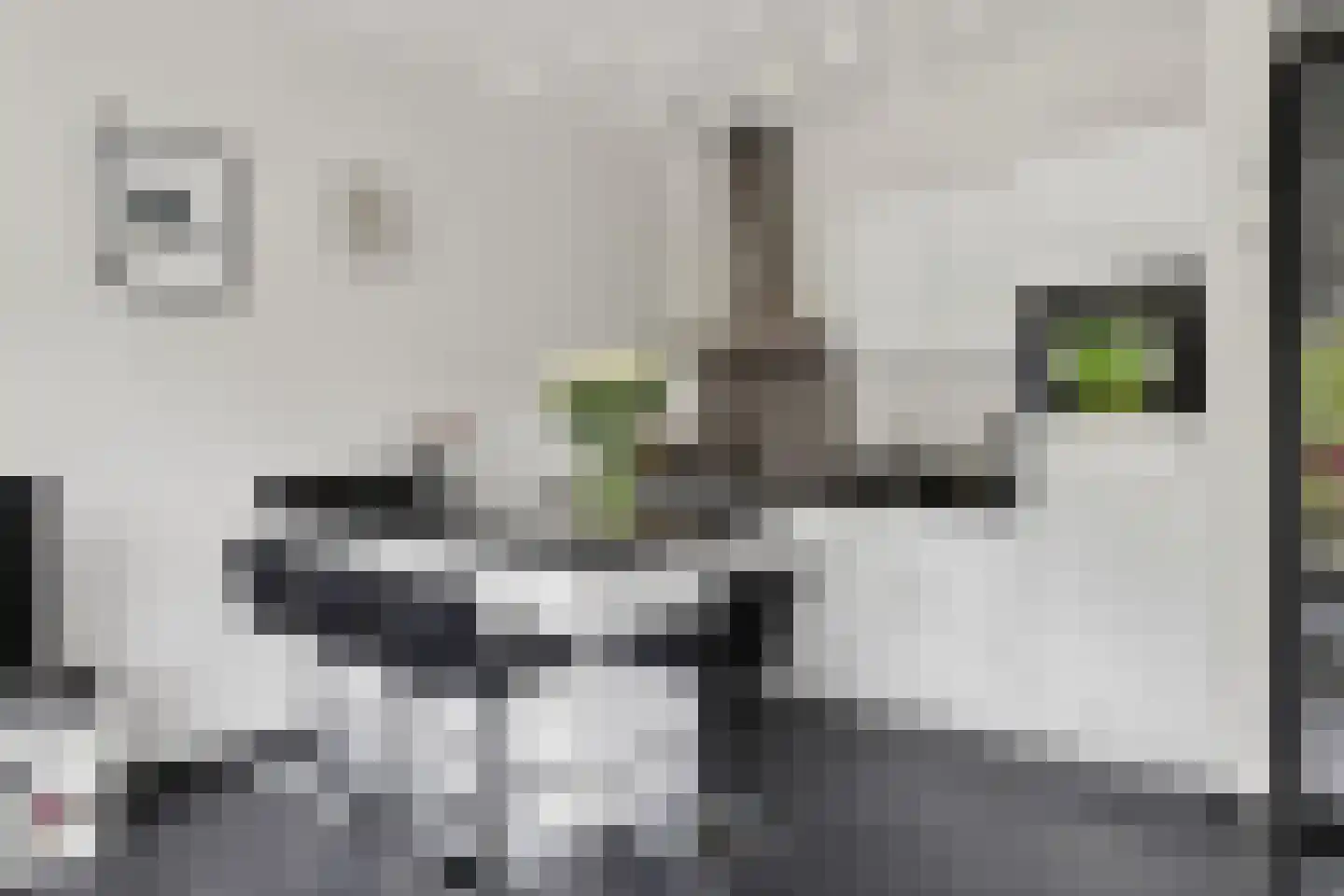 Fossa Italica 143 Houten thumbnail 8