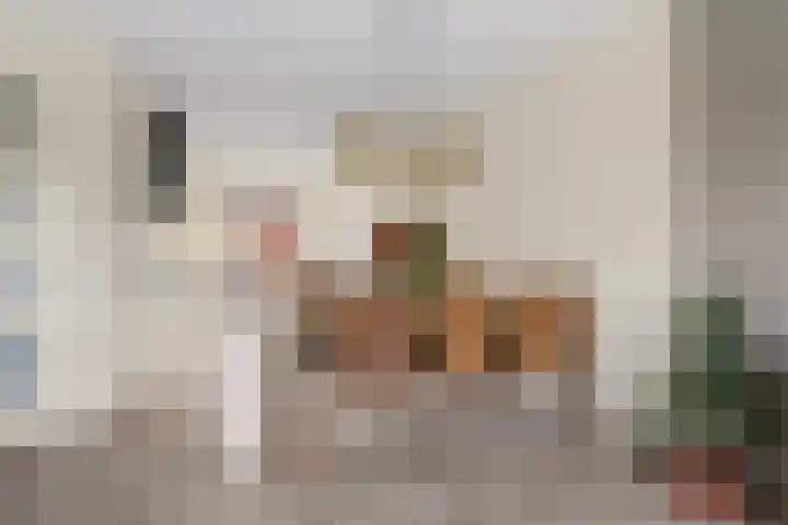 Fossa Italica 181 Houten thumbnail 8
