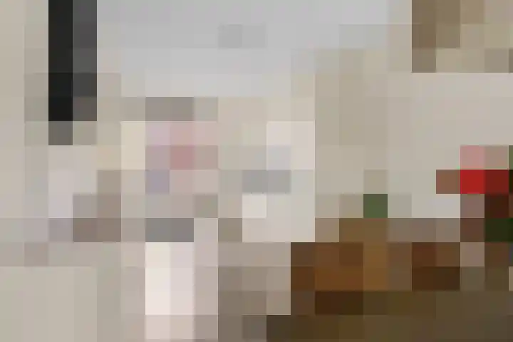Fossa Italica 181 Houten thumbnail 9