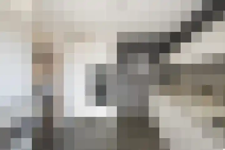 Fossastraat 1 Naaldwijk thumbnail 12