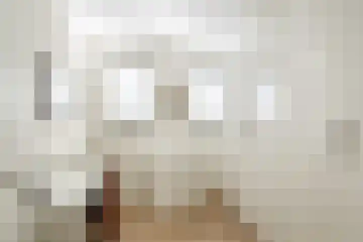 Fossastraat 1 Naaldwijk thumbnail 28