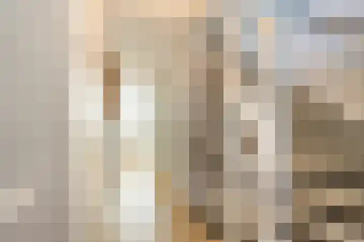 Fossastraat 1 Naaldwijk thumbnail 36