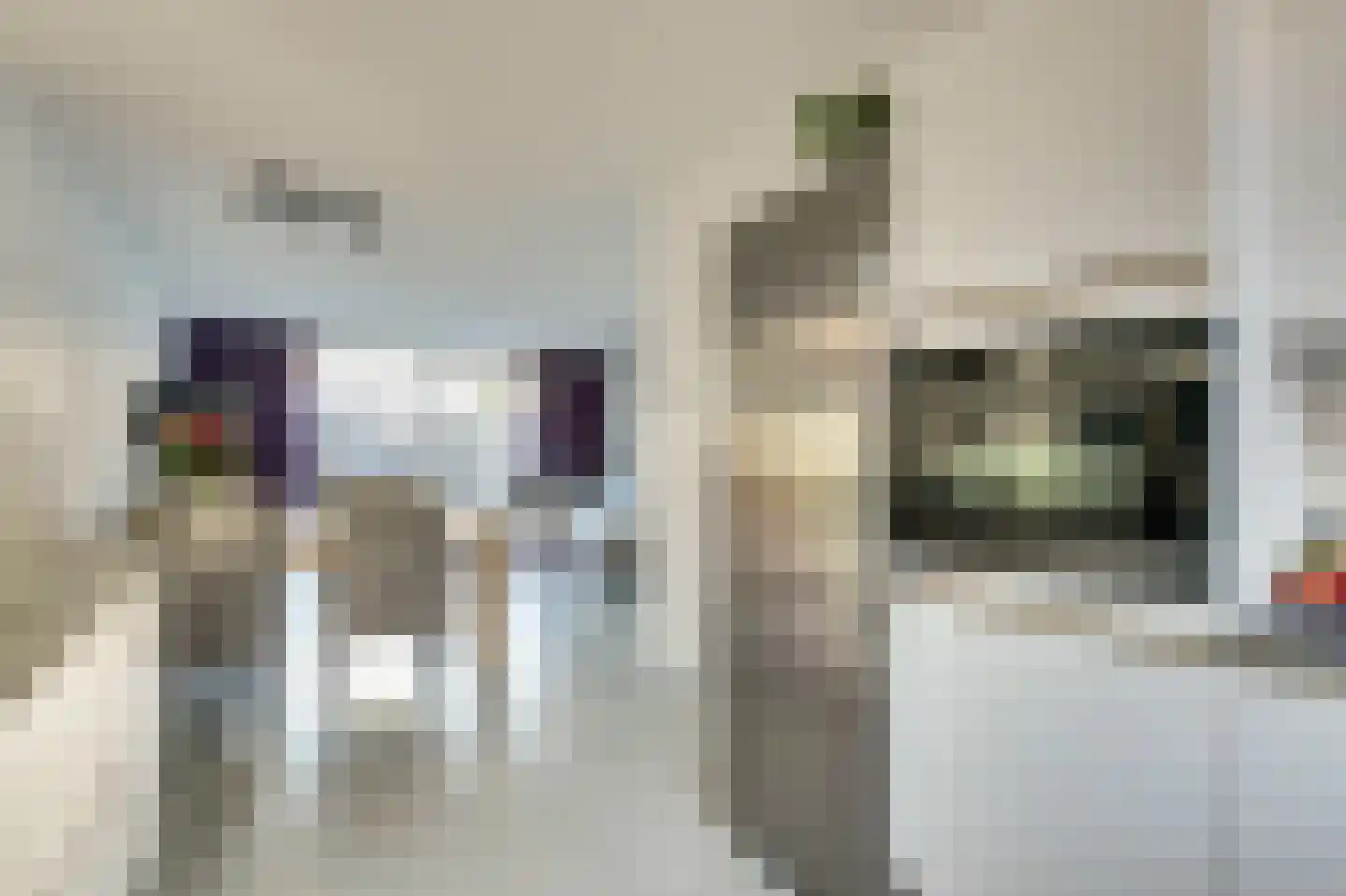 Fossastraat 16 Naaldwijk thumbnail 11