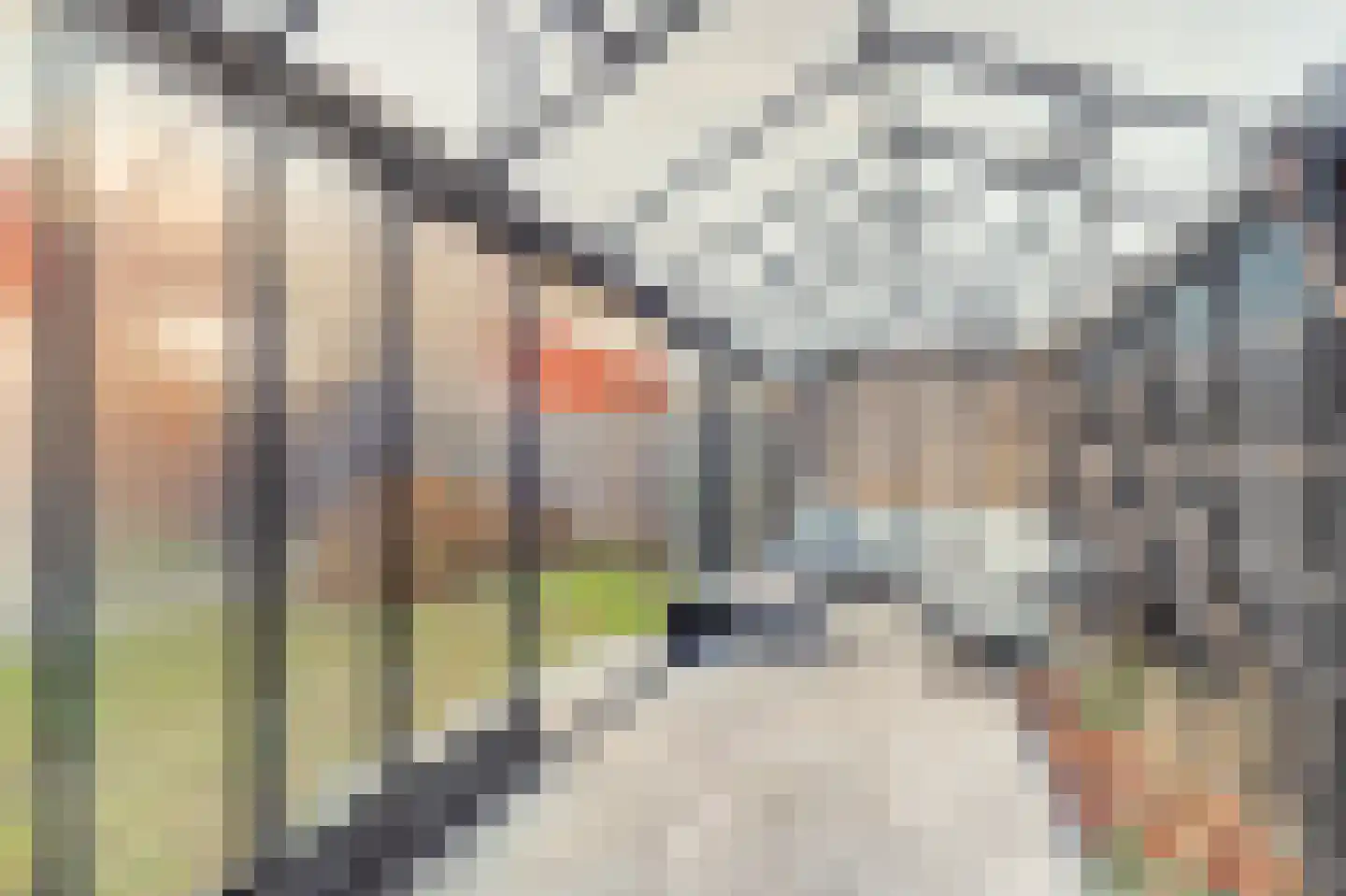 Fossastraat 16 Naaldwijk thumbnail 28