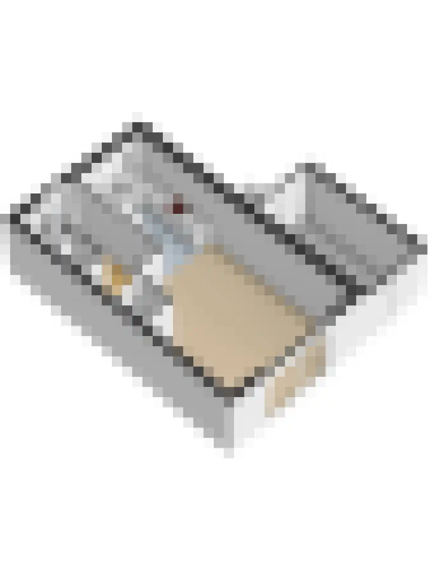Fossastraat 16 Naaldwijk thumbnail 42