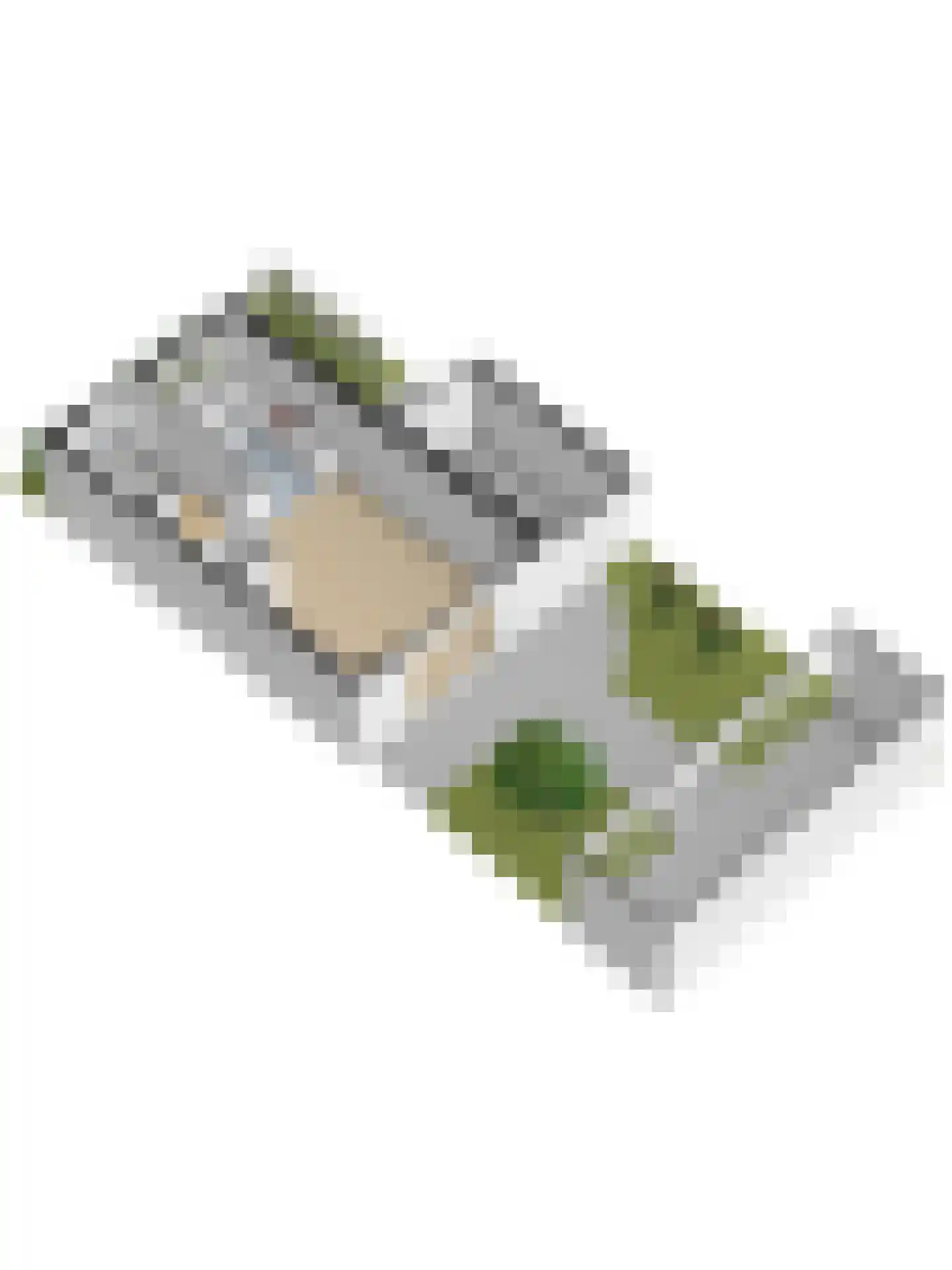 Fossastraat 16 Naaldwijk thumbnail 50