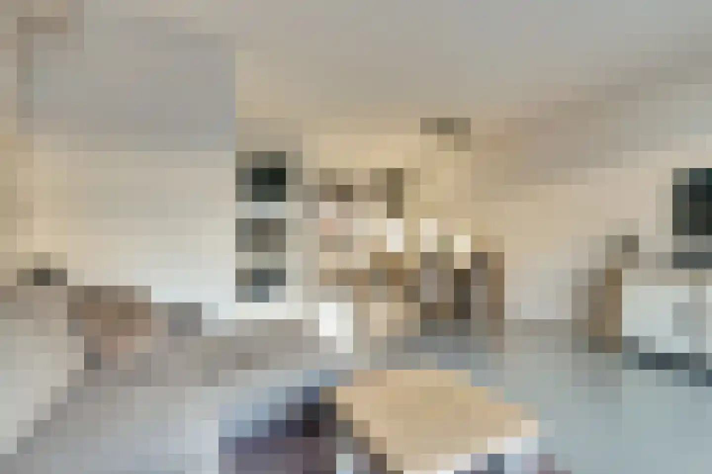 Fossastraat 16 Naaldwijk thumbnail 6