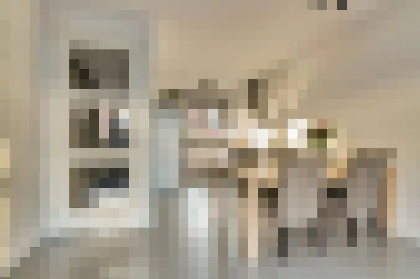 Fossastraat 16 Naaldwijk thumbnail 8