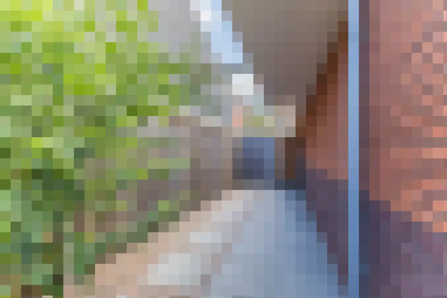 Fossastraat 26 Naaldwijk thumbnail 33