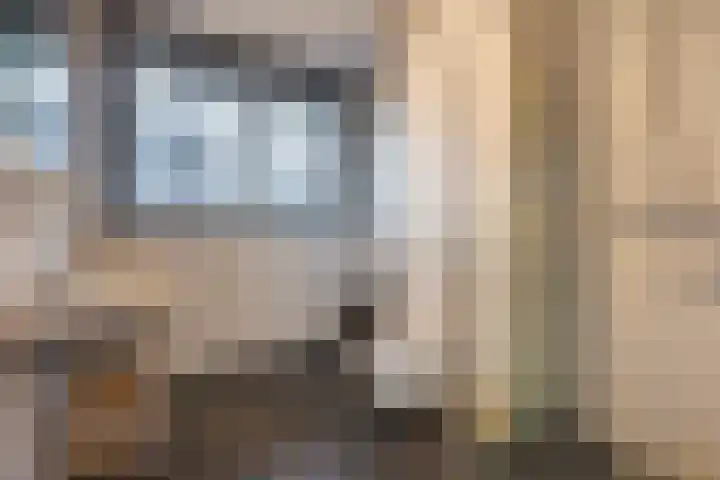 Fossastraat 4 Naaldwijk thumbnail 21