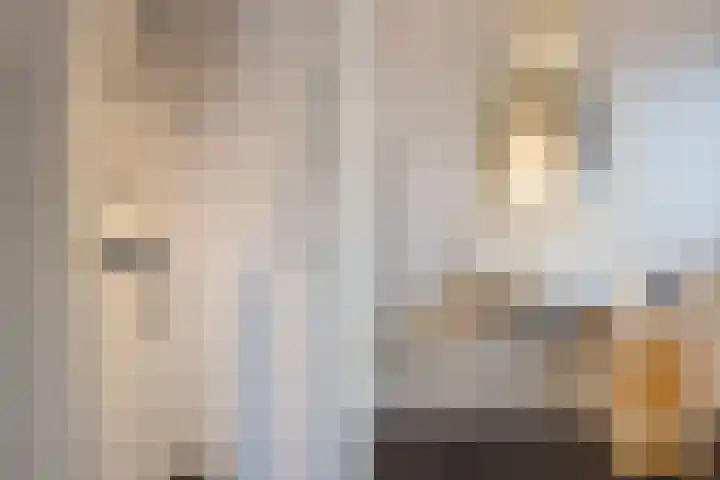 Fossastraat 4 Naaldwijk thumbnail 23