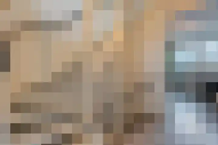 Fossastraat 4 Naaldwijk thumbnail 30