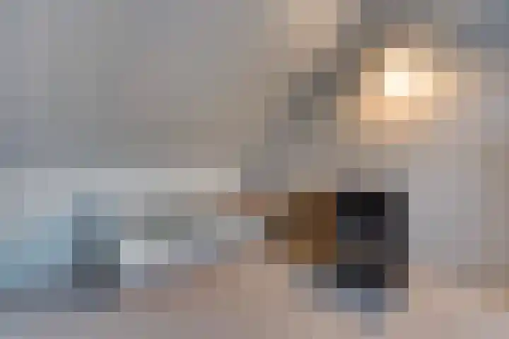Fossastraat 4 Naaldwijk thumbnail 32