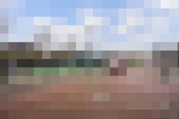 Fossastraat 4 Naaldwijk thumbnail 39