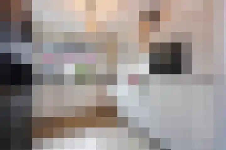 Fossastraat 4 Naaldwijk thumbnail 8
