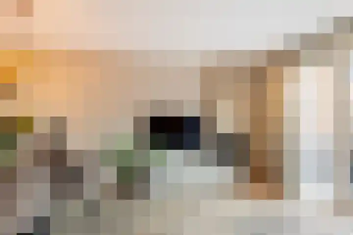 Fossastraat 45 Naaldwijk thumbnail 10