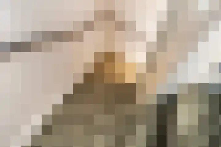 Fossastraat 45 Naaldwijk thumbnail 16