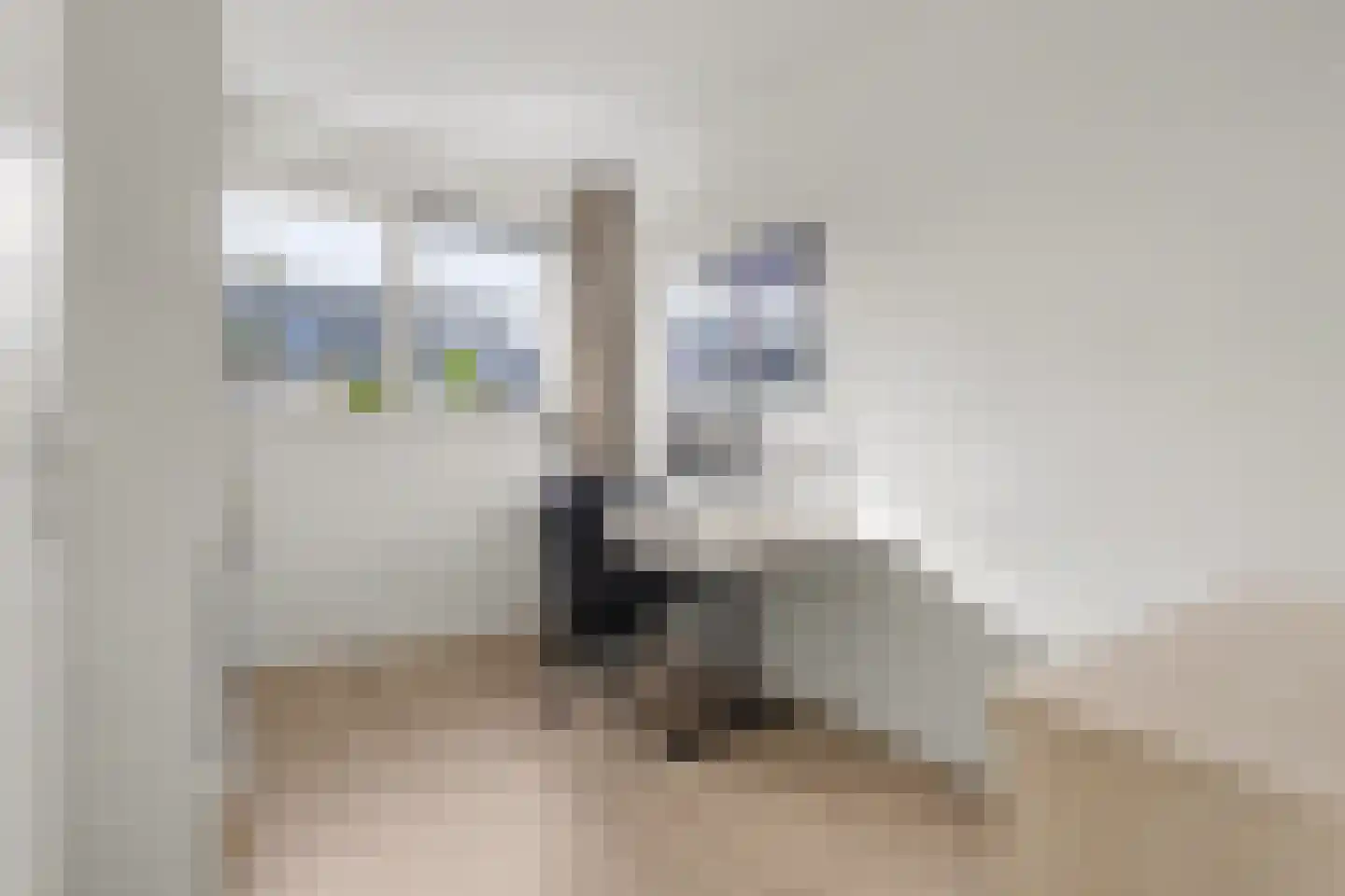 Fossastraat 46 Naaldwijk thumbnail 12