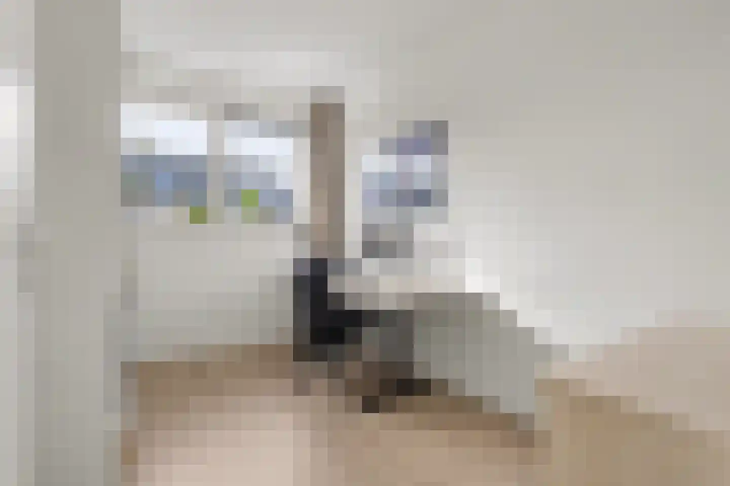 Fossastraat 46 Naaldwijk thumbnail 12