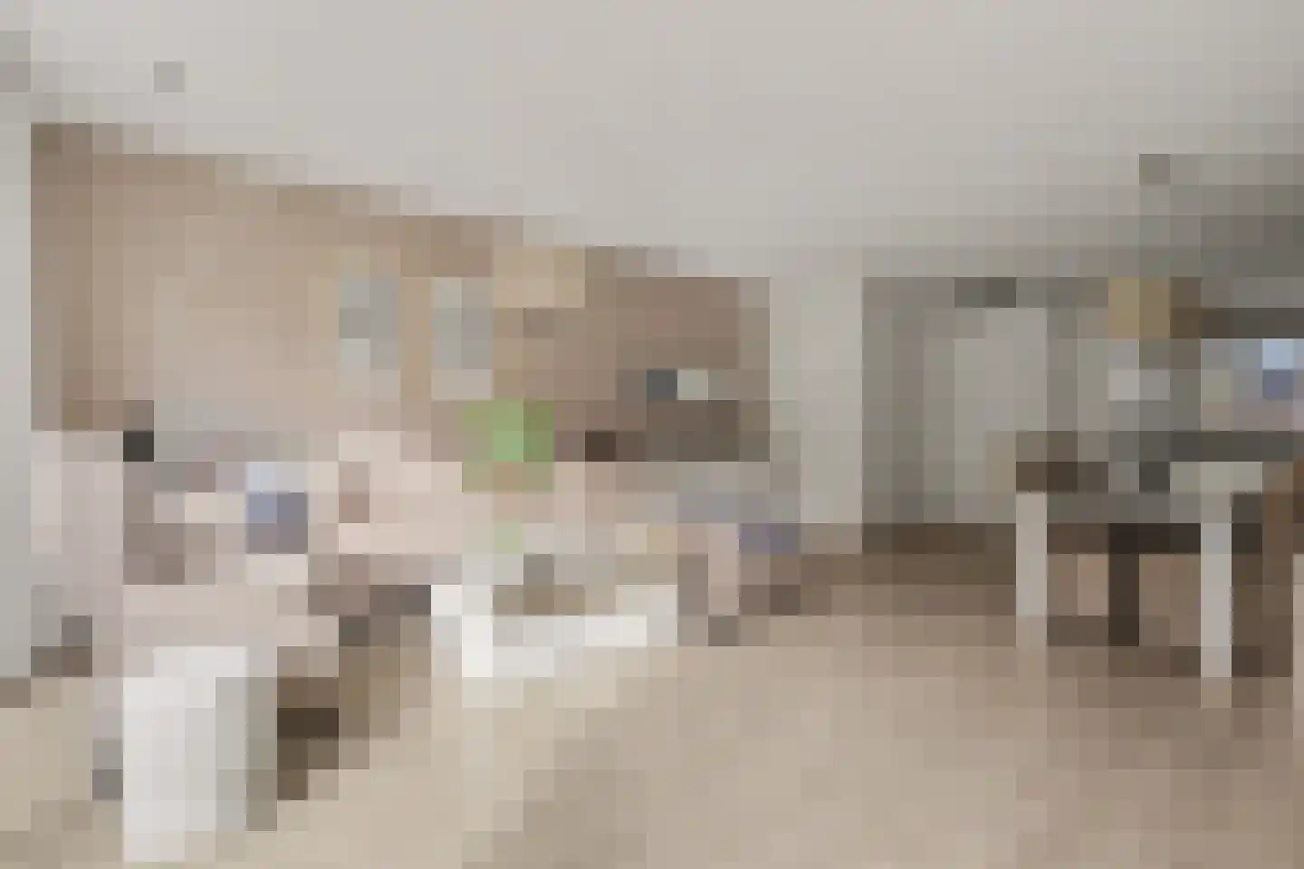 Fossastraat 46 Naaldwijk thumbnail 4