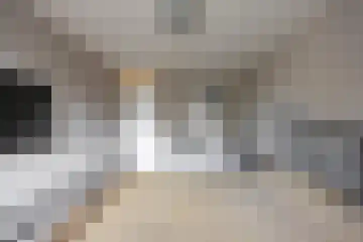 Fossemaheerd 117 Groningen thumbnail 21