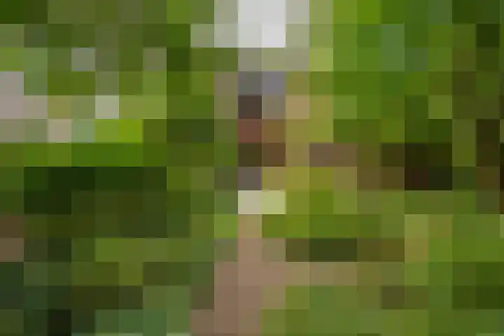 Fossemaheerd 117 Groningen thumbnail 36