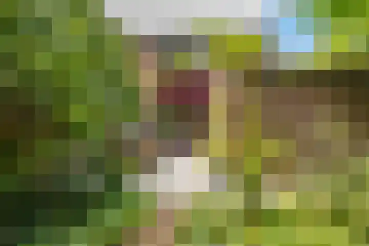 Fossemaheerd 117 Groningen thumbnail 37