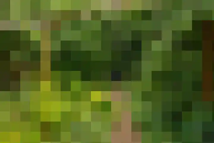 Fossemaheerd 117 Groningen thumbnail 38