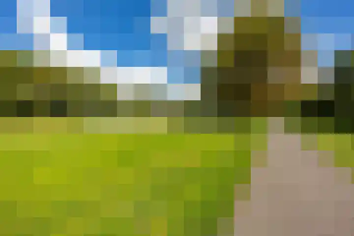Fossemaheerd 117 Groningen thumbnail 41