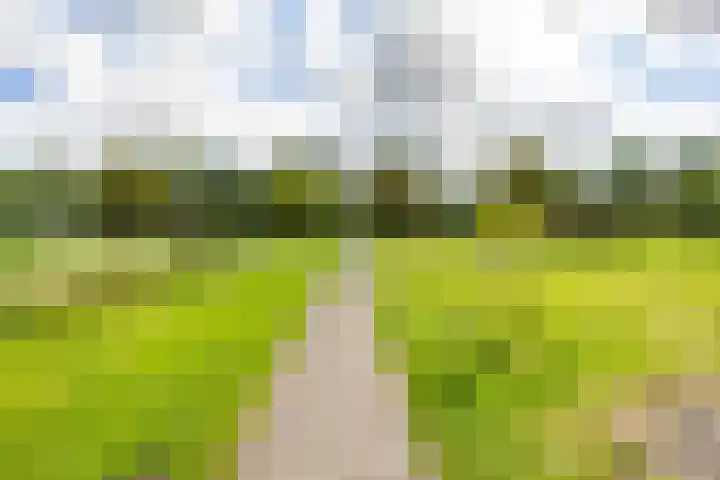 Fossemaheerd 117 Groningen thumbnail 42