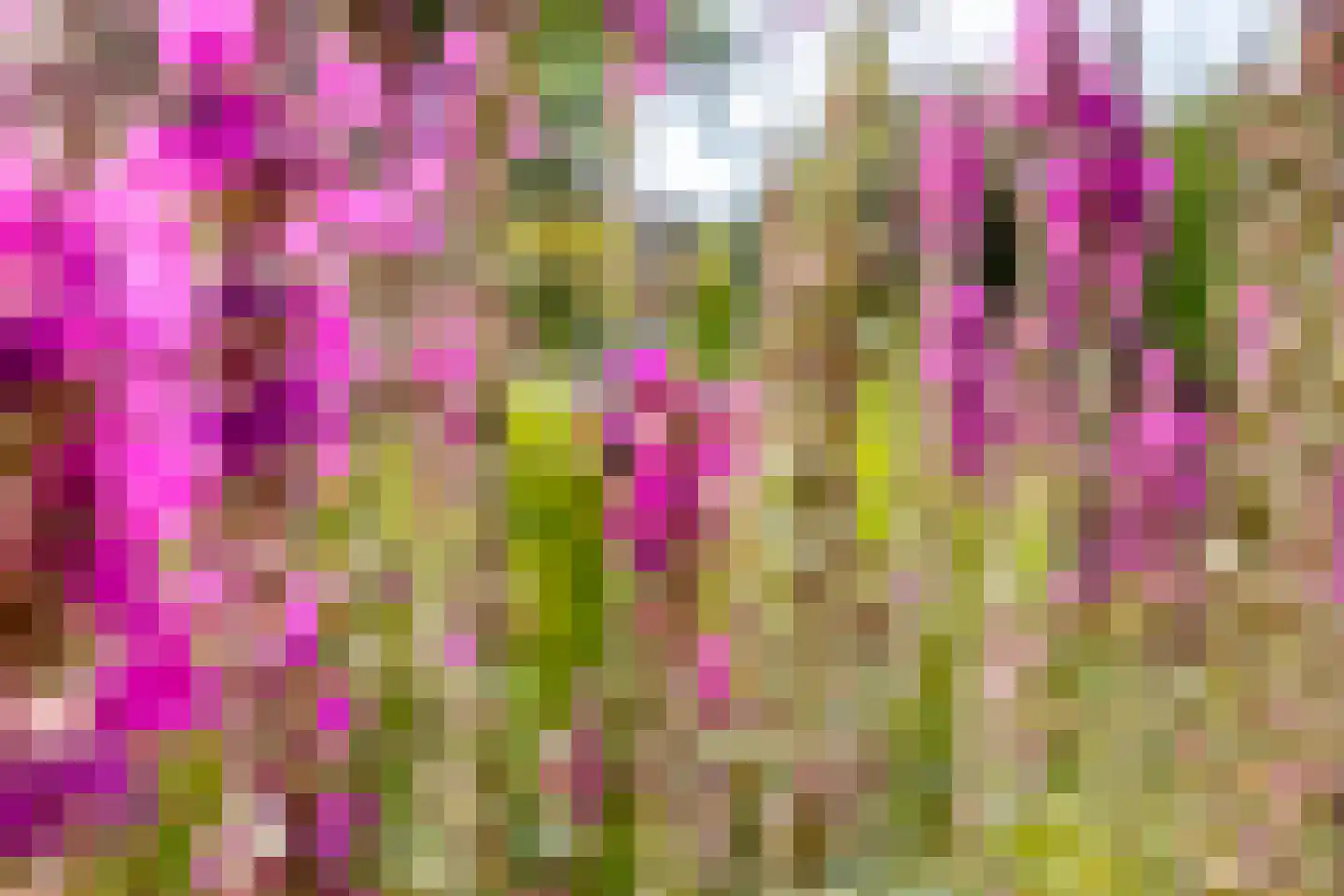 Fossemaheerd 121 Groningen thumbnail 10
