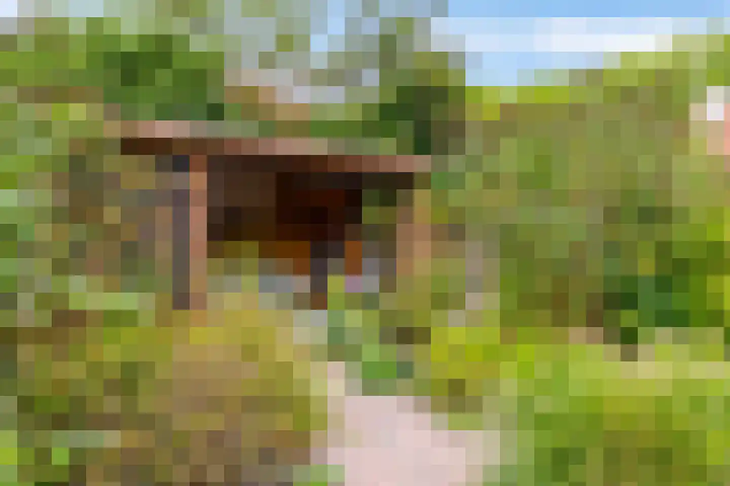 Fossemaheerd 121 Groningen thumbnail 26