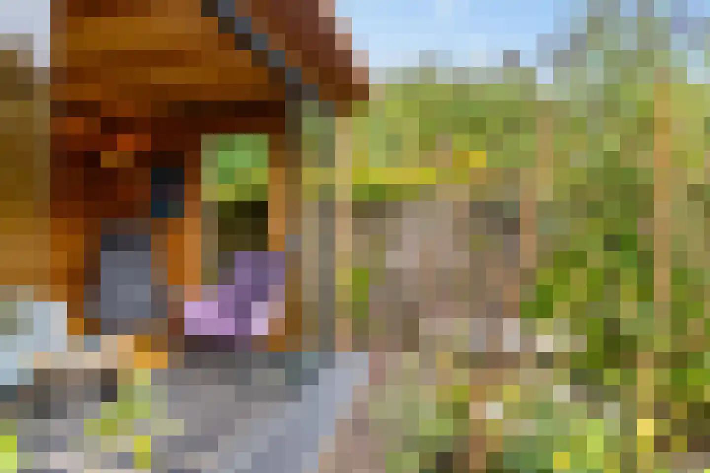 Fossemaheerd 121 Groningen thumbnail 29