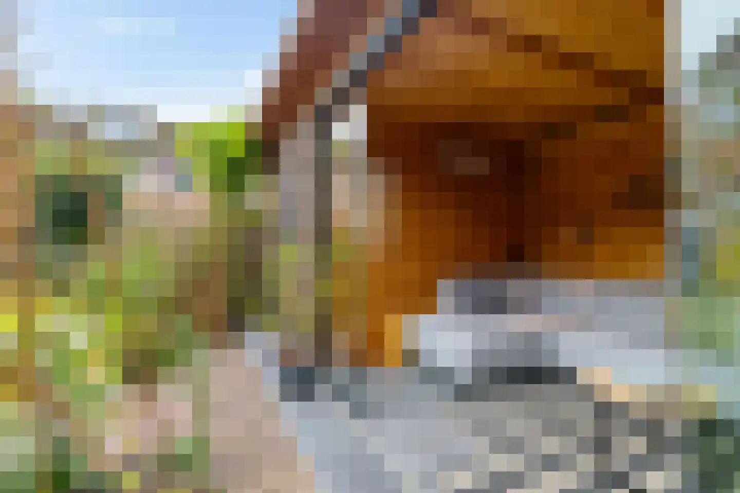 Fossemaheerd 121 Groningen thumbnail 30