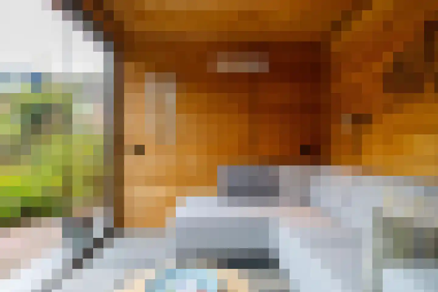 Fossemaheerd 121 Groningen thumbnail 31