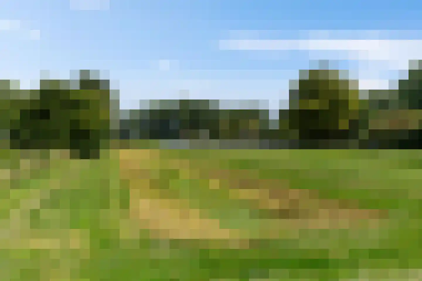 Fossemaheerd 121 Groningen thumbnail 6