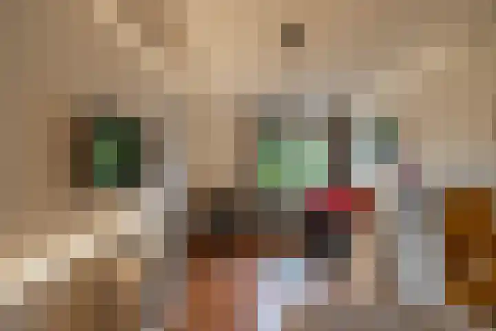 Fossemaheerd 140 Groningen thumbnail 20