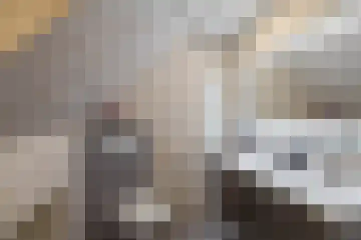 Fossemaheerd 140 Groningen thumbnail 23