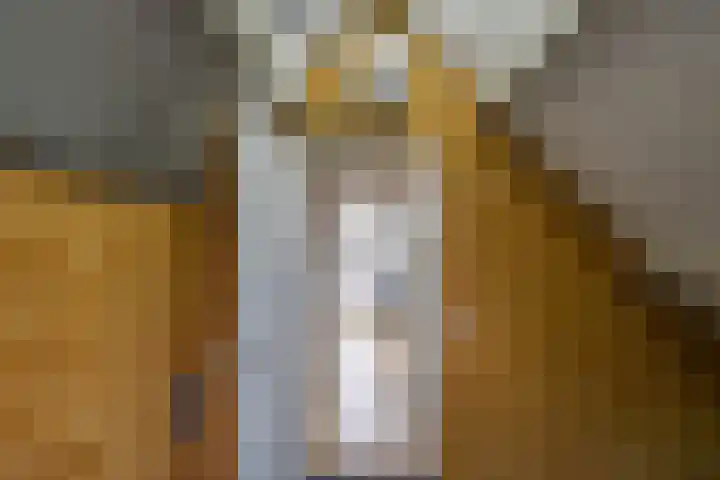 Fossemaheerd 140 Groningen thumbnail 27