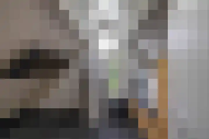 Fossemaheerd 140 Groningen thumbnail 28