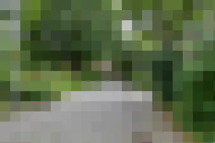 Fossemaheerd 140 Groningen thumbnail 36