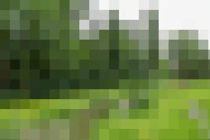 Fossemaheerd 140 Groningen thumbnail 38