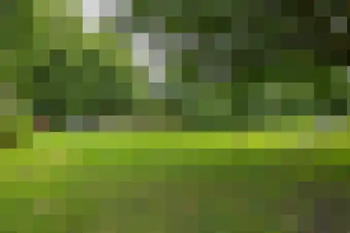 Fossemaheerd 140 Groningen thumbnail 40