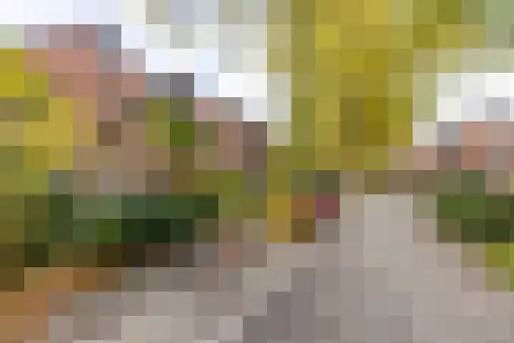 Fossemaheerd 155 Groningen thumbnail 11