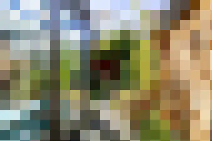 Fossemaheerd 155 Groningen thumbnail 56