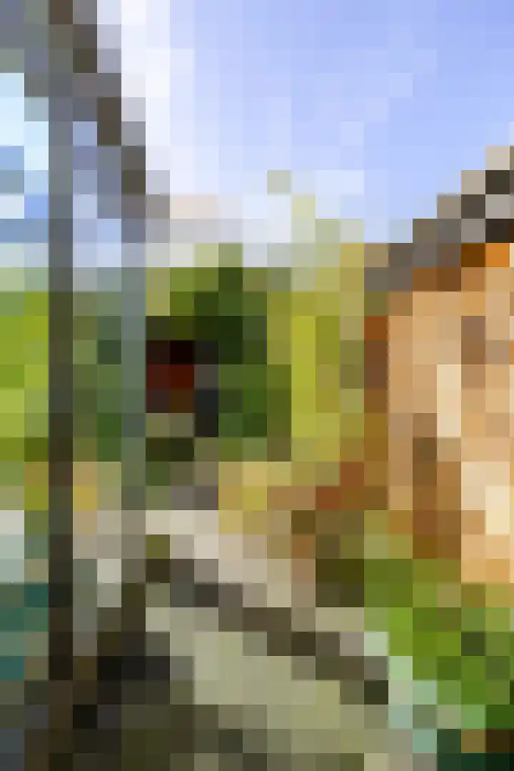 Fossemaheerd 155 Groningen thumbnail 57
