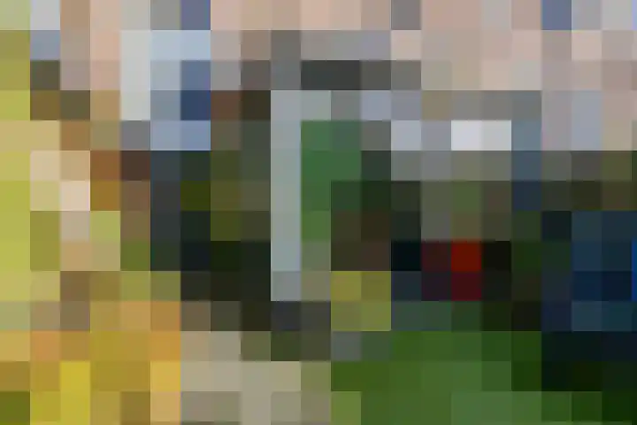 Fossemaheerd 155 Groningen thumbnail 58