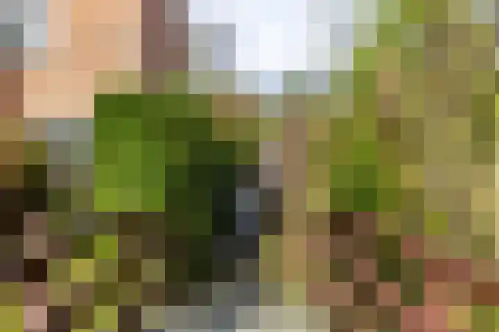 Fossemaheerd 155 Groningen thumbnail 69