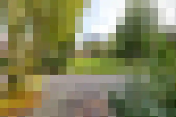 Fossemaheerd 155 Groningen thumbnail 71